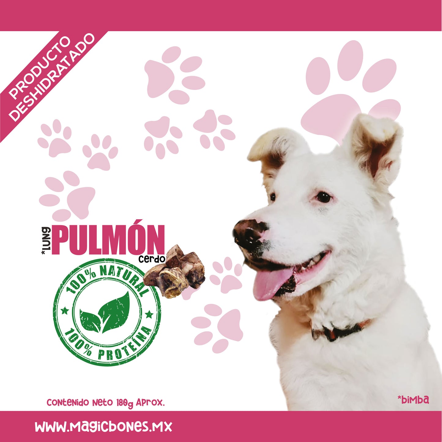 Pulmón