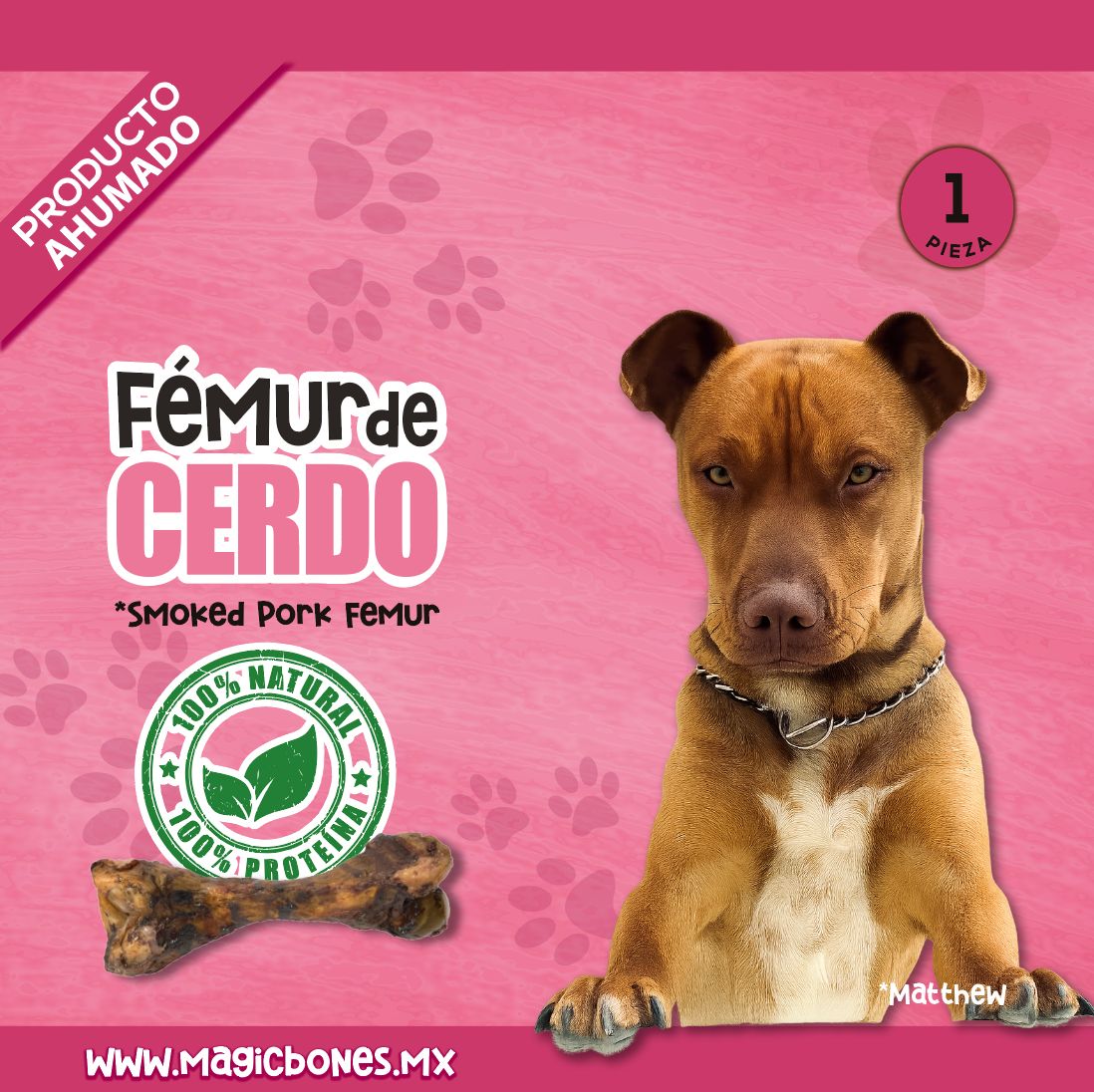 Fémur de cerdo ahumado