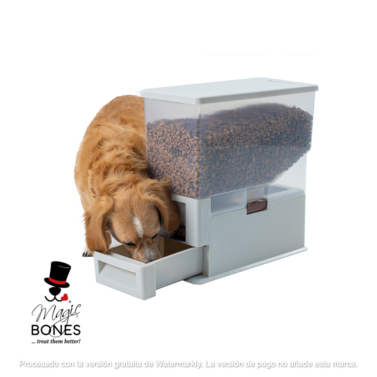 Dispensador de Alimento para Mascotas